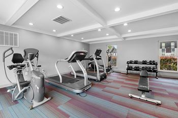 a gym with treadmills and other exercise equipment